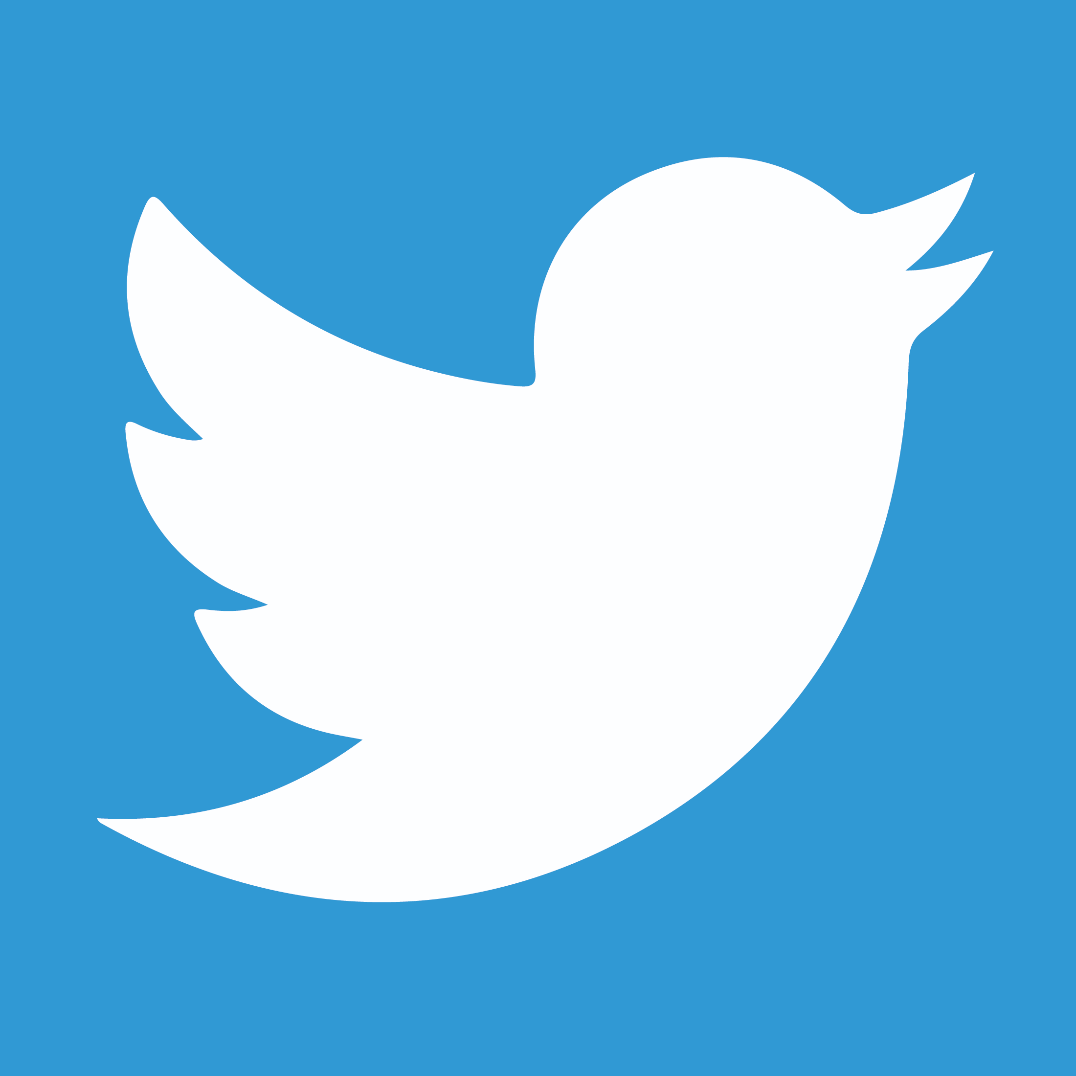 twitter-followers-web-design-sri-lanka